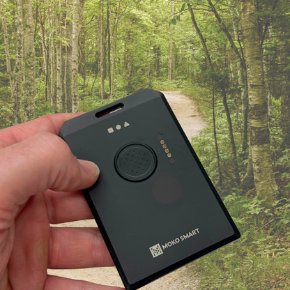 WisMesh Tag from RAKwireless & MOKOSmart - Meshtastic compatible card sized node 868/915 Mhz